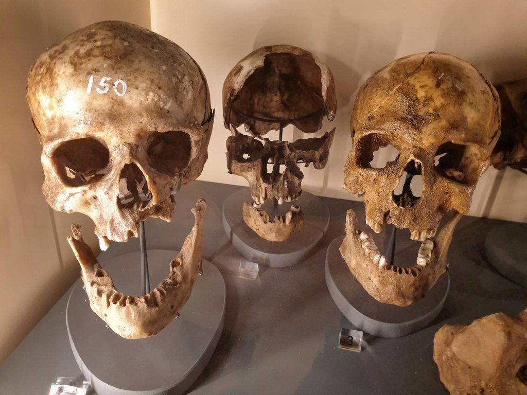 Elbolton Skulls 02