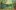 1._Morning_Pond_V4