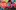 disco-party-masthead