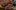 501623316_18411236944096221_6888561521113974203_n