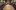 ezgif-7676c171b63f9d (1)